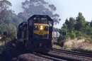 An El Zorro grain train approaching Woodend.