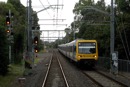 A 6 car Xtrap departs Blackburn on a Flinders Street service as I wait at the home signal.
Jan 10 2008